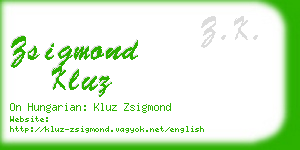 zsigmond kluz business card